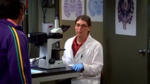 The Big Bang Theory 7 x Episodio 13