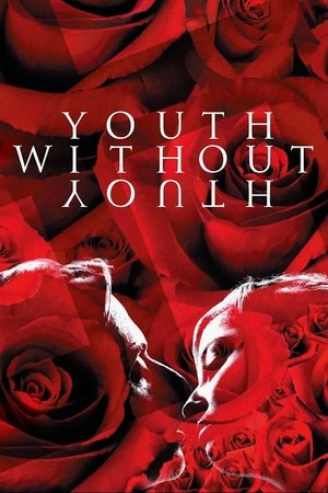 Image Youth Without Youth