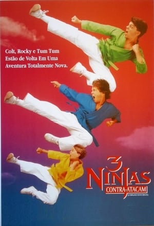 Poster 3 Ninjas Kick Back 1994