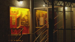 Cinema Lives – Arthouse Theatres in Germany