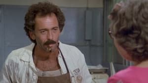 Polizeirevier Hill Street: 4×2