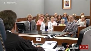 Sister Wives A Judge Decides