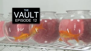 The Vault Episode 12