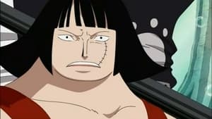 One Piece: Season 11 Episode 403