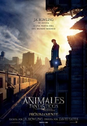 <Images posters