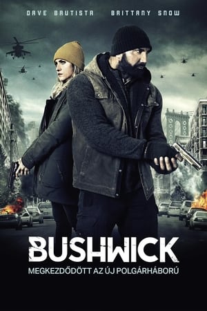 Poster Bushwick 2017