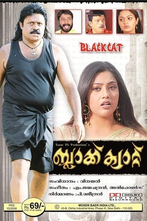 Poster Black Cat (2007)