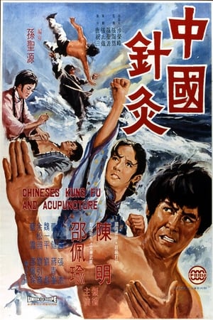 Poster Chinese Kung Fu and Acupuncture 1973