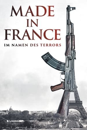 Poster Made in France - Im Namen des Terrors 2015
