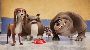 Corgi, las mascotas de la reina Película Completa HD 1080p [MEGA] [LATINO] 2019