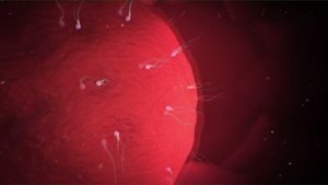 Yhjvo2rtwn9sufc8zelqgujjzir