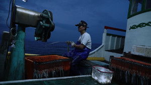 Dialogue Among Tribes