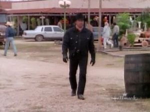 Walker, Texas Ranger: Stagione 2 – Episodio 14