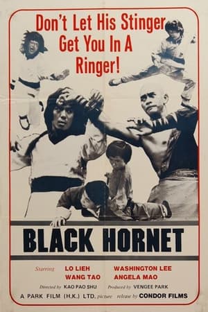 Poster Black Hornet (1977)