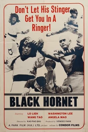 Image Black Hornet