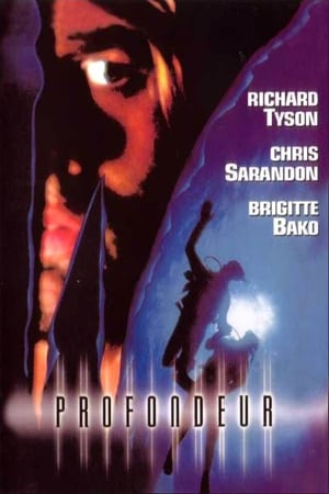 Poster Profondeur 1994
