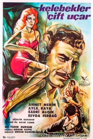 Poster Kelebekler Çift Uçar (1964)