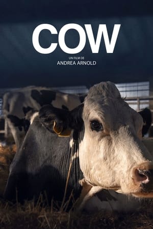 Poster Cow 2022