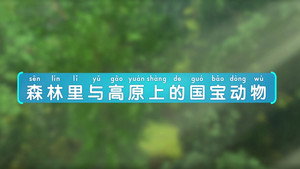 Épisode 5