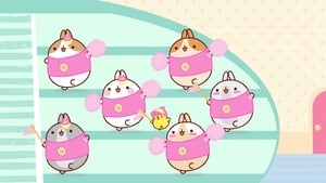 Molang: 4×47