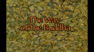 Animated World Faiths The Way of the Buddha