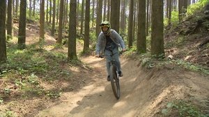 Journeys in Japan: 12×15