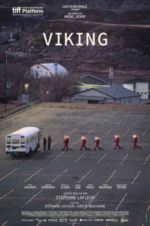 Viking 30