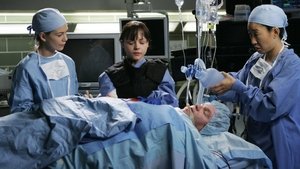 Grey’s Anatomy 2 x Episodio 16