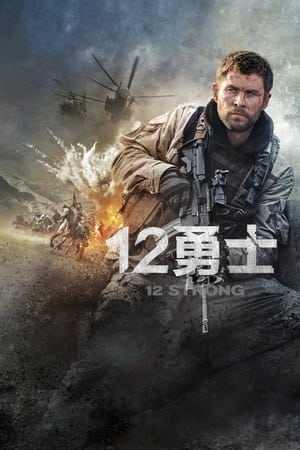 12勇士 (2018)