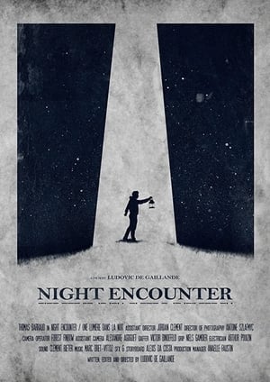 Night Encounter (2017)