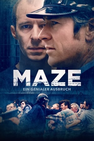Poster Maze 2017