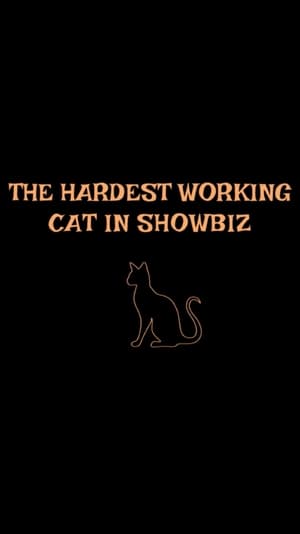 The Hardest Working Cat in Showbiz 2021