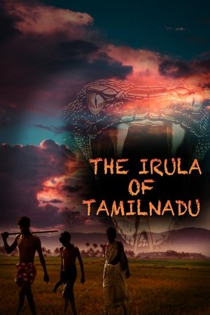 Nonton film The Irula of Tamilnadu (2003) terbaru sub indo Nonton film The Irula of Tamilnadu (2003) terbaru sub indo