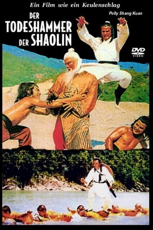 Image Der Todeshammer des Shaolin