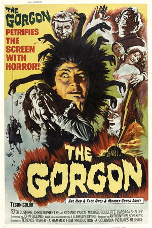 The Gorgon 41