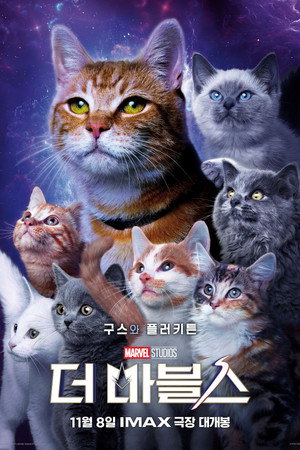poster The Marvels