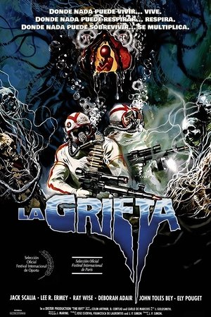 La grieta 1990