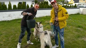 Episodio 6
