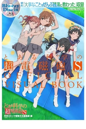 A Certain Scientific Railgun S: All the Important Things I Learned in a Bathhouse film complet