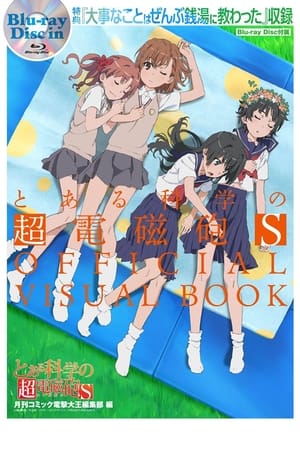 Poster A Certain Scientific Railgun S: All the Important Things I Learned in a Bathhouse 2014