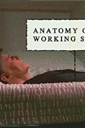 Poster Anatomy of a Working Stiff (2004)