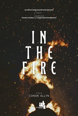 Poster di In the Fire