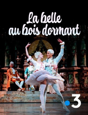 La Belle au Bois Dormant 8
