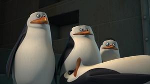 The Penguins of Madagascar Endangerous Species