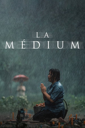 The Medium 79