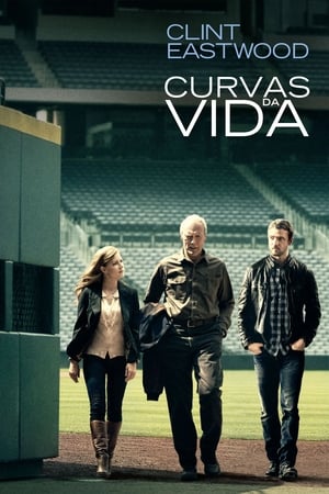 Curvas da Vida / As Voltas da Vida - Poster