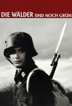 The Woods Are Still Green