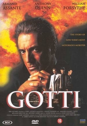 Poster Gotti 1996