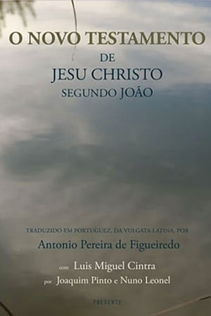 Poster The New Testament of Jesus Christ According to John (2013)