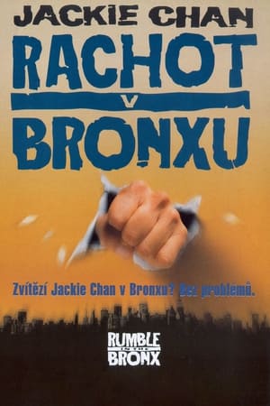 Poster Rachot v Bronxu 1995